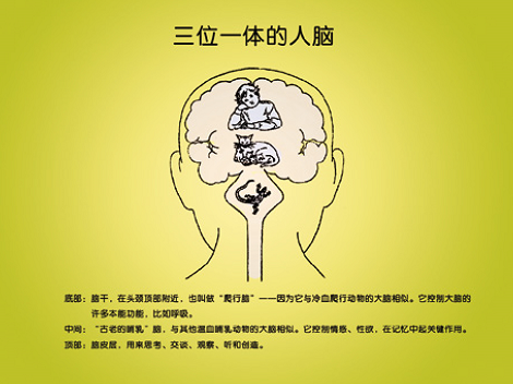三位一体(图1)